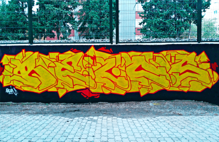 Rein